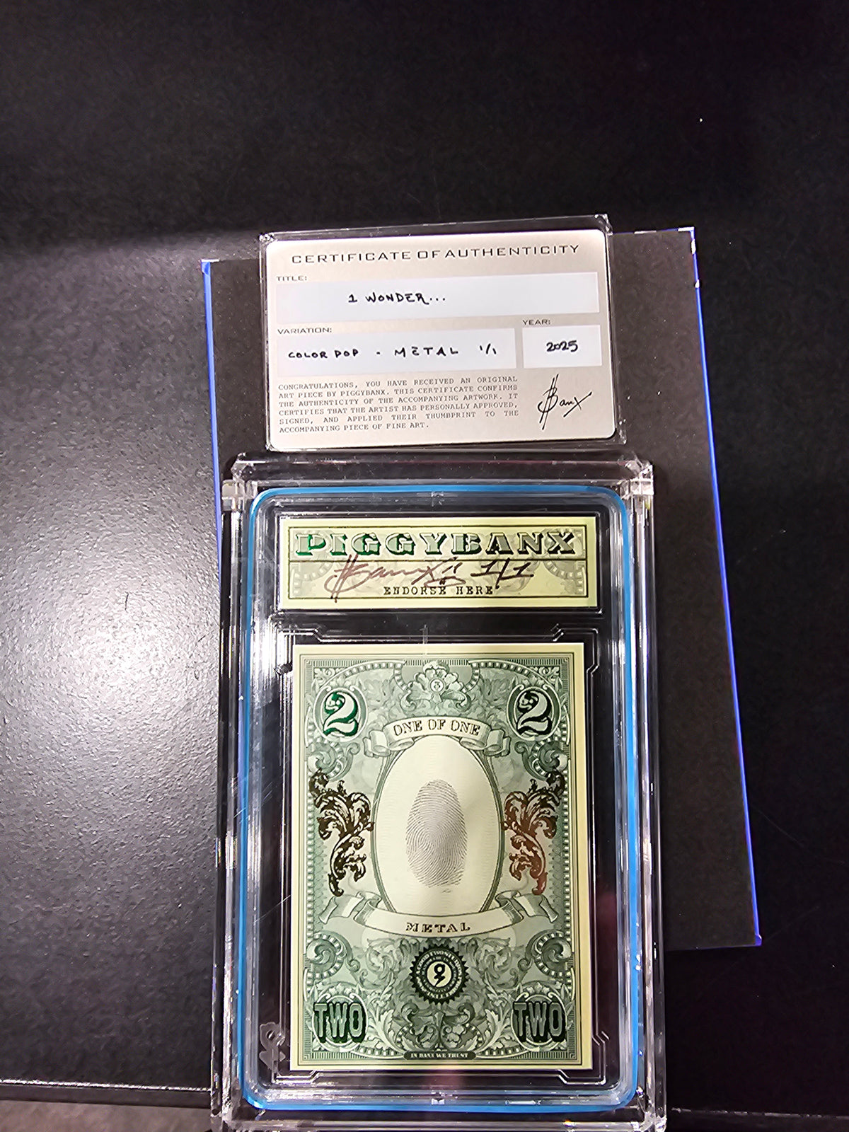PIGGYBANX 2025 I WONDER 07/31/25 METAL VARIATION