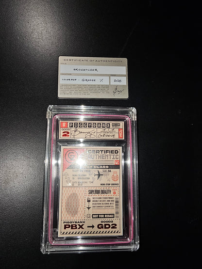 PIGGYBANX 2025 SKYWATCHER 03/20/2025 GROVE VARIATION PBX